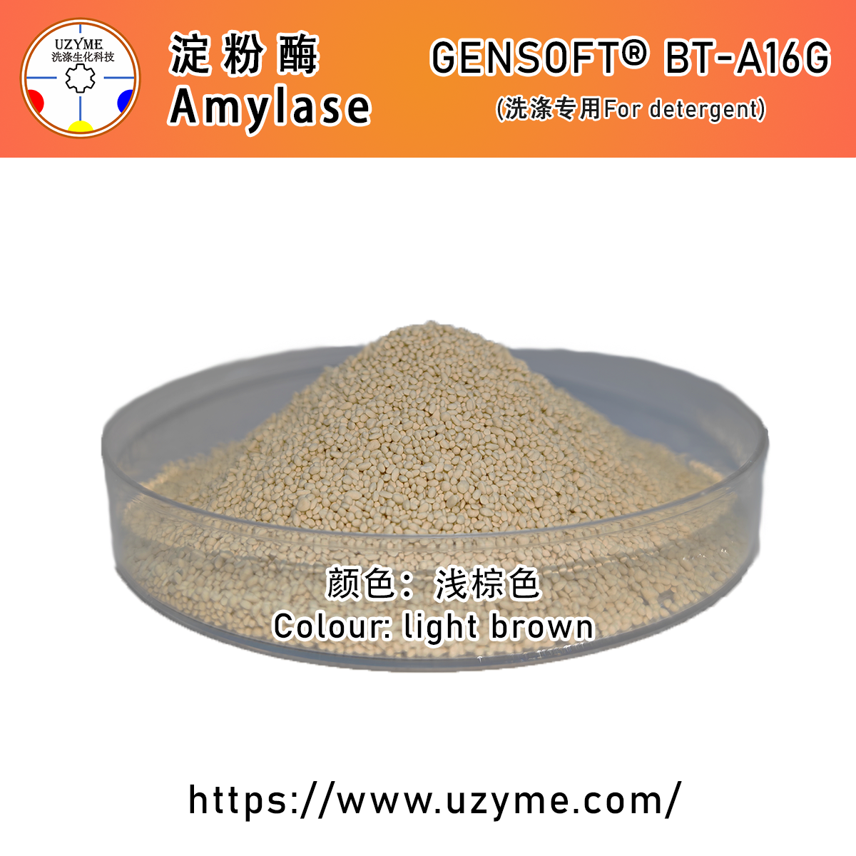 颗粒淀粉酶产品介绍BT-A16G.png
